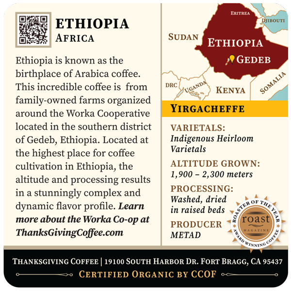 Light roast Ethiopia Yirgacheffe coffee bag from Thanksgiving Coffee Company, featuring Gedeb Worka co-op label and detailed design.