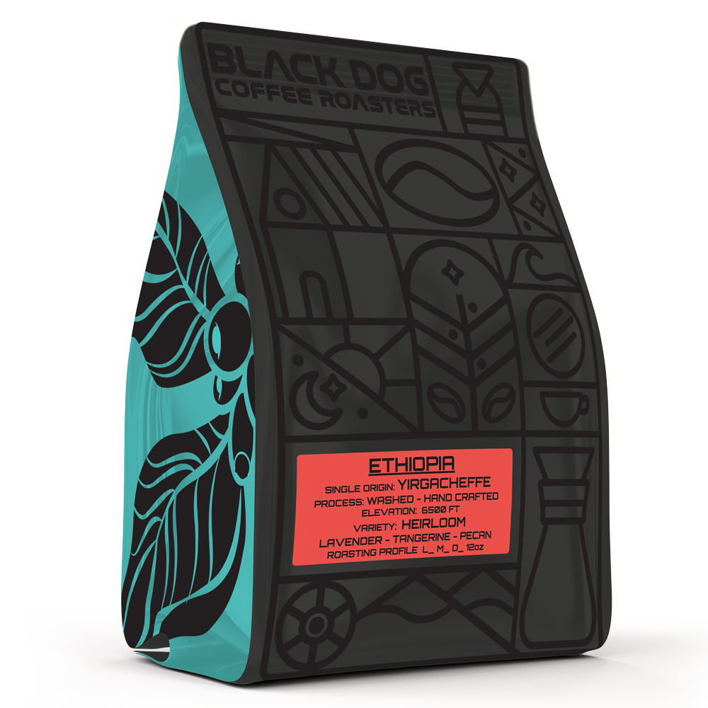 Ethiopian coffee beans from Black Dog Coffee Roasters, showcasing fresh, whole coffee beans in a natural light setting.