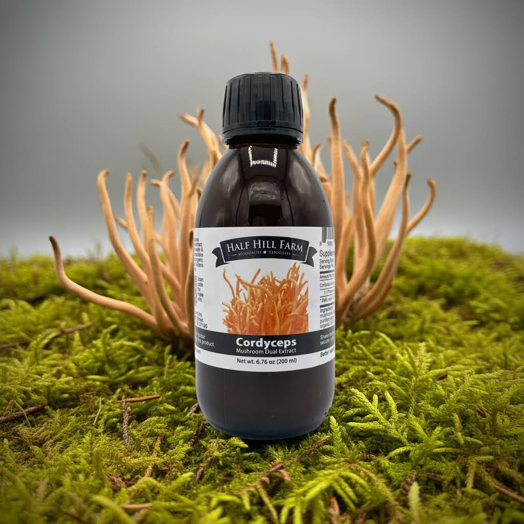 200ml herbal Cordyceps mushroom dual extract bottle from Half Hill Farm showing the product label and packaging.