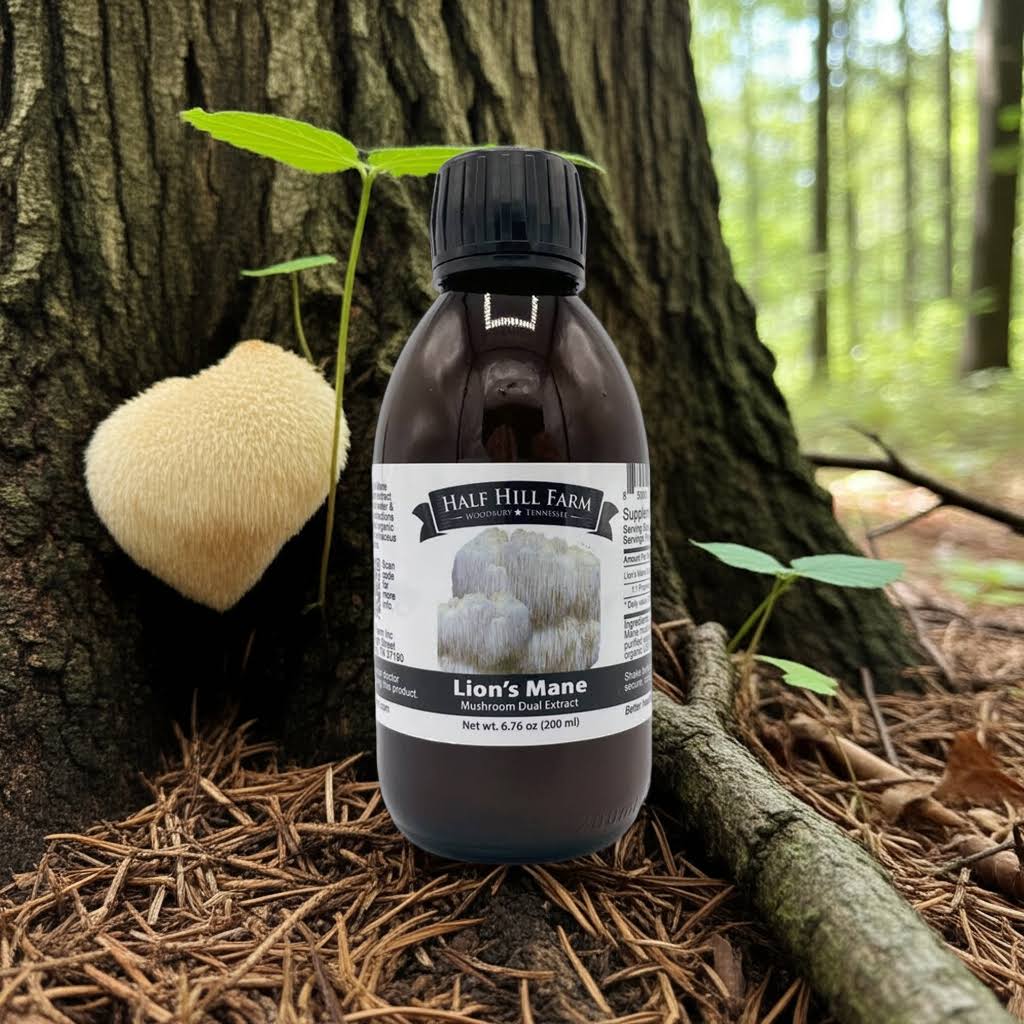 200ml Lion's Mane Mushroom Dual Extract herbal supplement bottle from Half Hill Farm, featuring the product label and packaging.