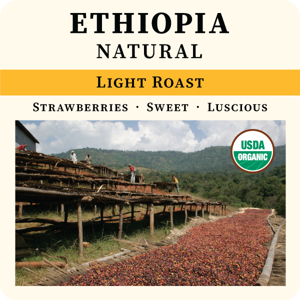 Light roast Ethiopia natural coffee bag from Thanksgiving Coffee Company with organic FTO label and 2023 product label.