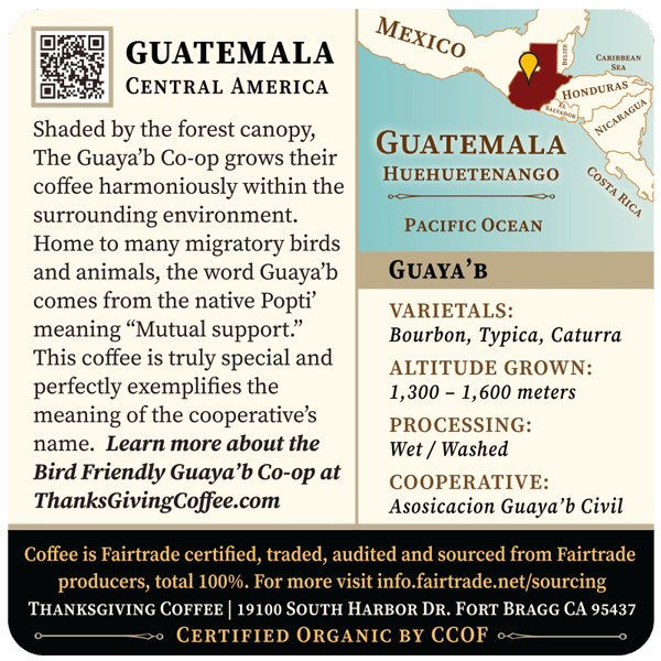 Guatemala Light Roast coffee bag by Thanksgiving Coffee Company with label featuring a scenic landscape and product details.