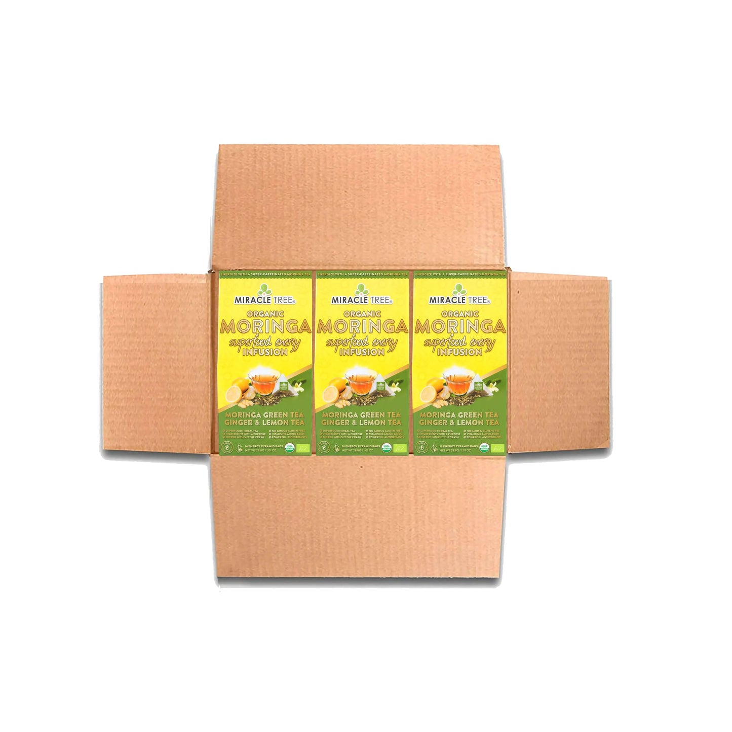 Organic Moringa Energy Tea by Miracle Tree with ginger and lemon, featuring fresh tea leaves and vibrant lemon slices.
