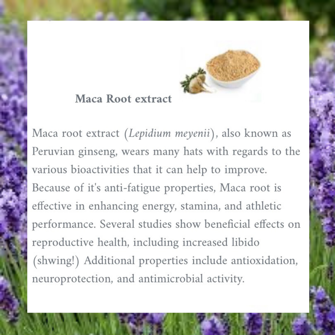 Smart Owl Coffee Balance Blend Vietnamese Lavender Coffee in a cup with lavender flowers and coffee beans.