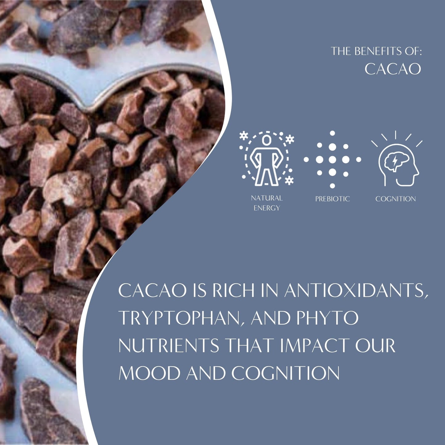 Dark chocolate herbal coffee with prebiotics by Teeccino, featuring a cacao bean and coffee cup on the packaging.
