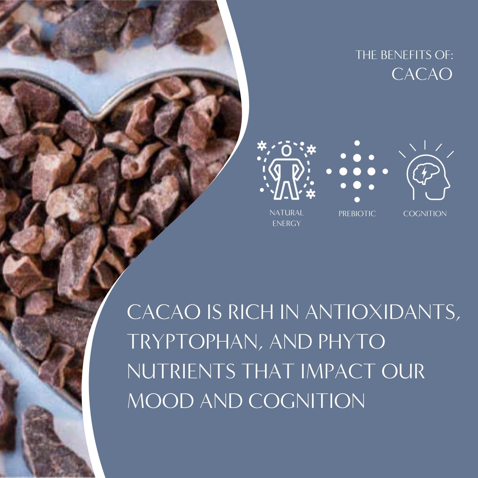 Dark chocolate herbal coffee with prebiotics by Teeccino, featuring a cacao bean and coffee cup on the packaging.