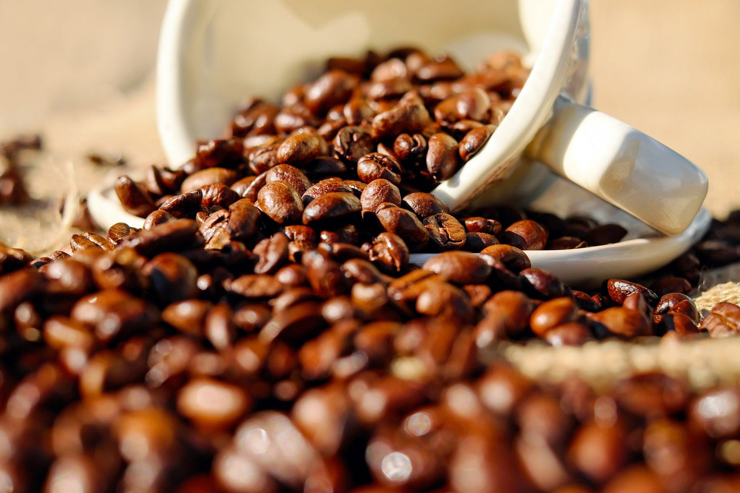 Cup of Mama's Strength organic dark roast coffee from 42 Days Coffee with fresh coffee beans in the background.