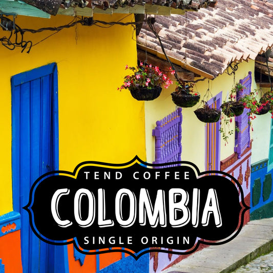 Tend Coffee Colombia coffee beans in a 1lb bag, showcasing fresh roasted coffee beans with a rich, dark color.