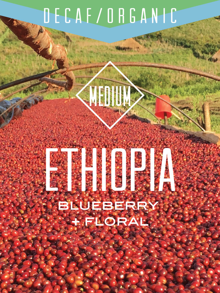 Decaf Organic Ethiopia Sidamo coffee beans from Centri Coffee, showing whole roasted beans in a natural setting.