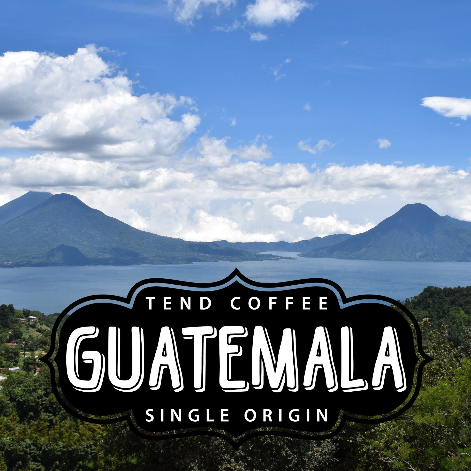 Tend Coffee Guatemala 1lb bag of fresh coffee beans with a vibrant label, showcasing rich, aromatic coffee from Guatemala.