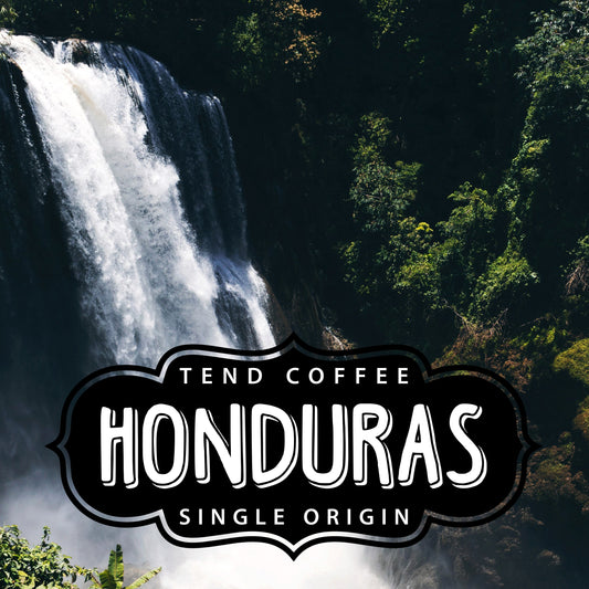 Honduras Tend Coffee 1lb bag of whole coffee beans, showcasing the Honduras origin and rich coffee quality.