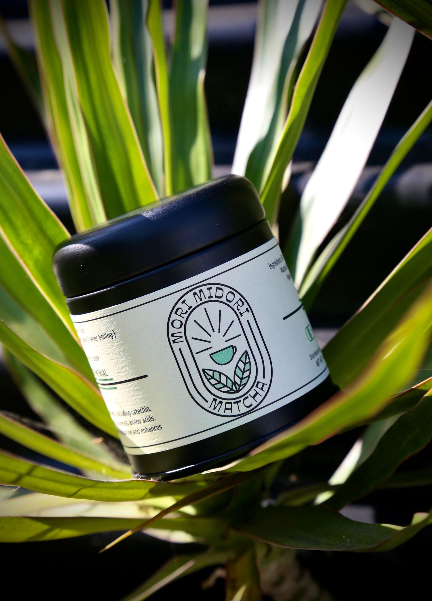 Black Dog Coffee Roasters Mori Midori ceremonial matcha powder in a bowl, vibrant green tea matcha with whisk and scoop.