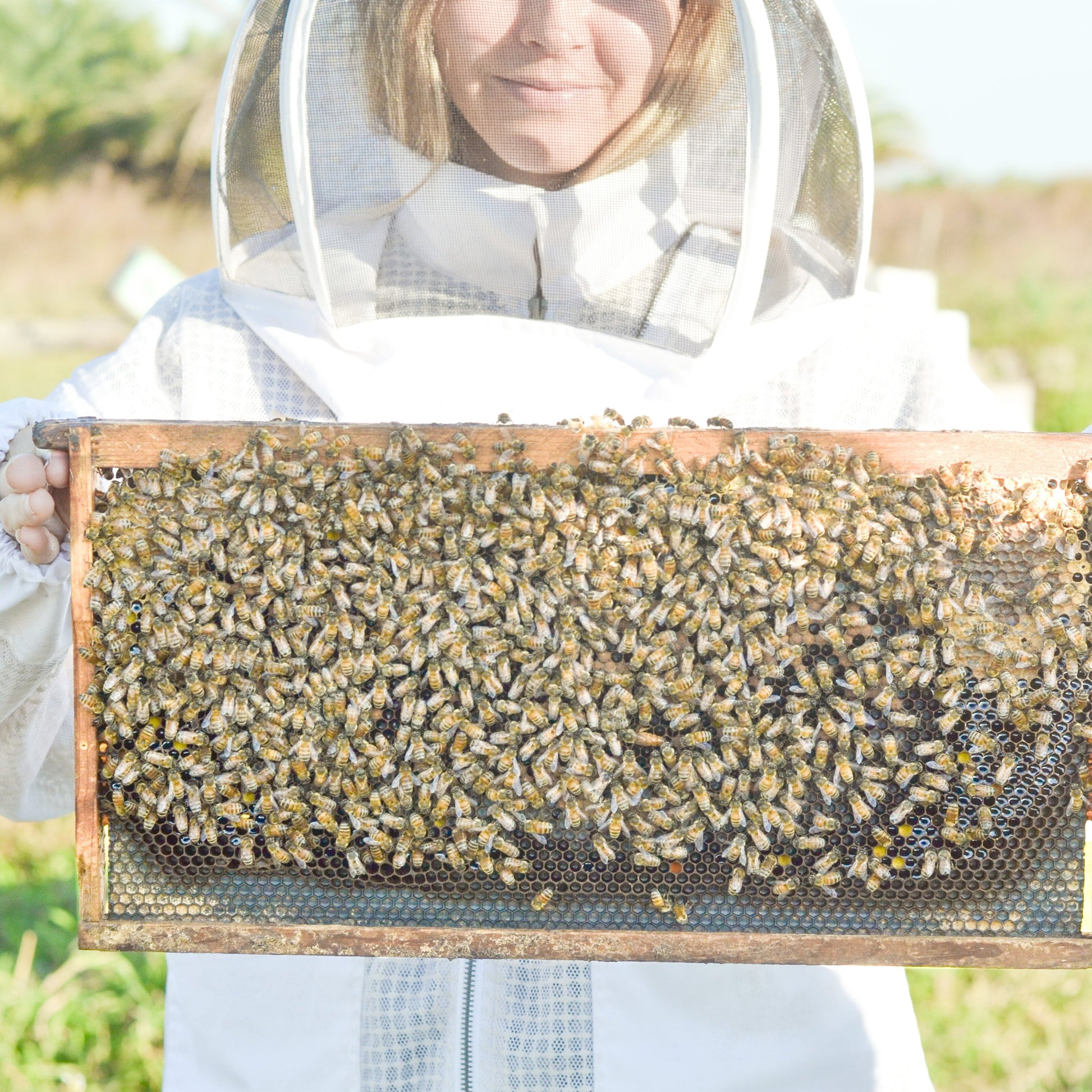 Farmhouse artisan goat milk and tallow soap collection, with Jen holding a jar of honey and bees in a natural farm setting.