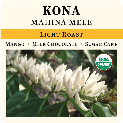 Light roast coffee beans from Kona Mahina Mele by Thanksgiving Coffee Company, showcasing roasted beans in a natural setting.