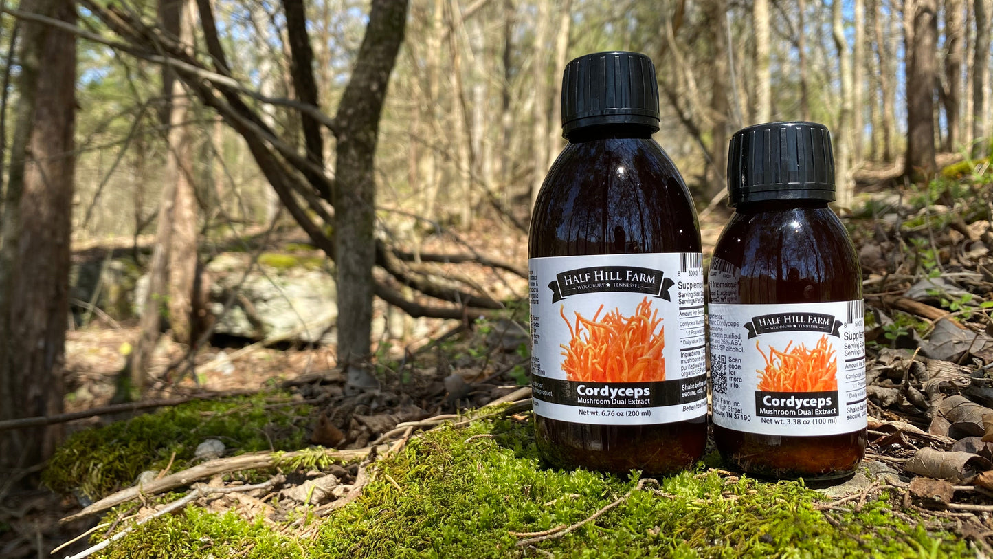 Cordyceps Mushroom Dual Extract bottle from Half Hill Farm, herbal mushroom extract with dark label and product details visible.