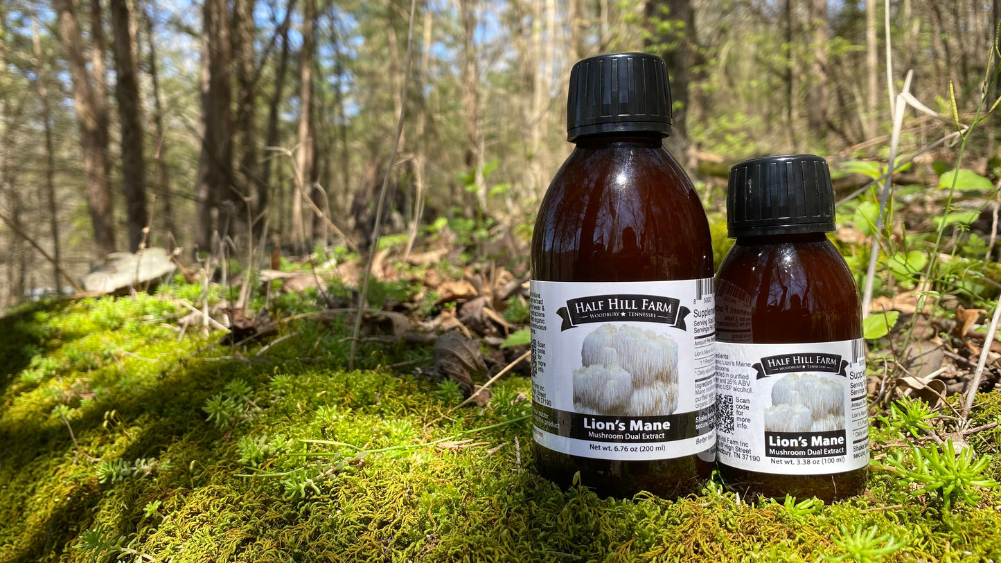 Half Hill Farm Lion's Mane Mushroom Dual Extract herbal supplement in a glass jar with a label, showcasing the product packaging.