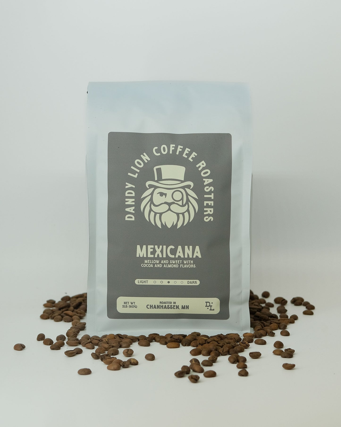 Dandy Lion Coffee Mexicana whole bean coffee bag with vibrant Mexican-inspired packaging and logo design.