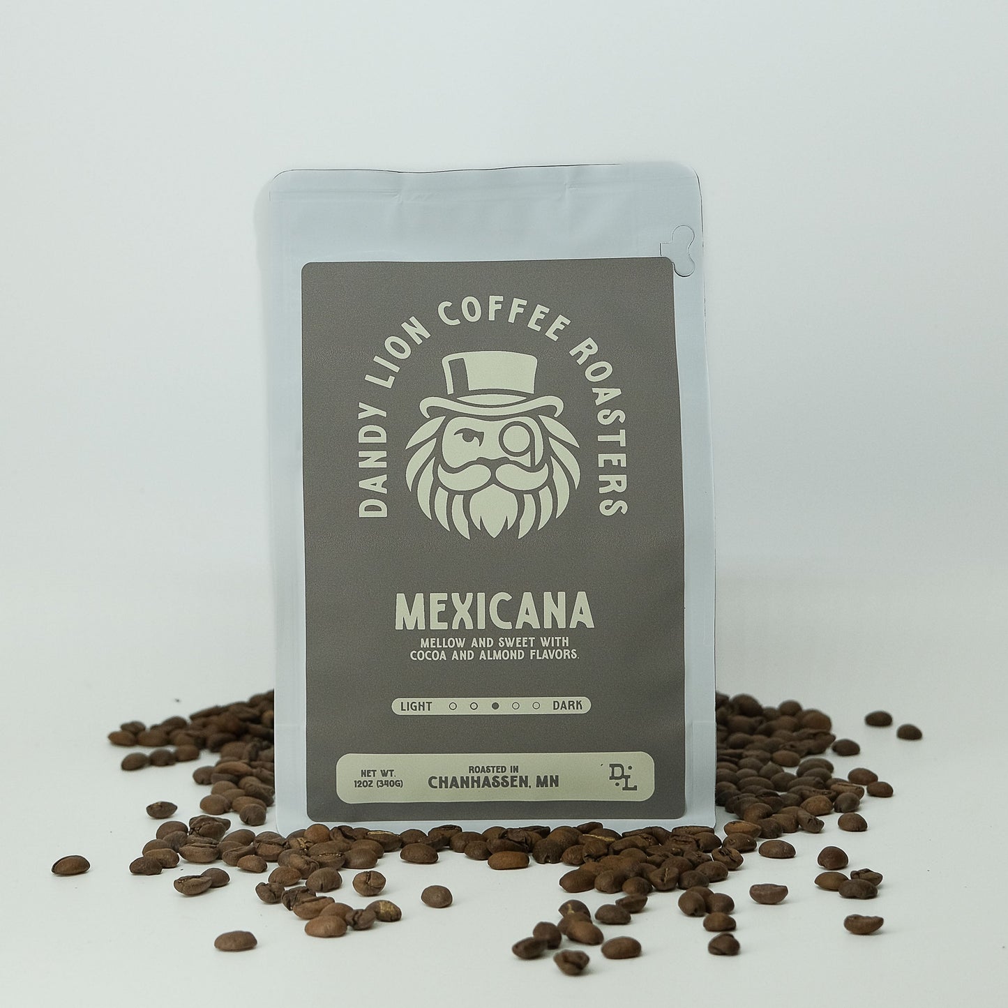 Dandy Lion Coffee Mexicana bag displaying colorful packaging with a Mexican-inspired design and the product label.