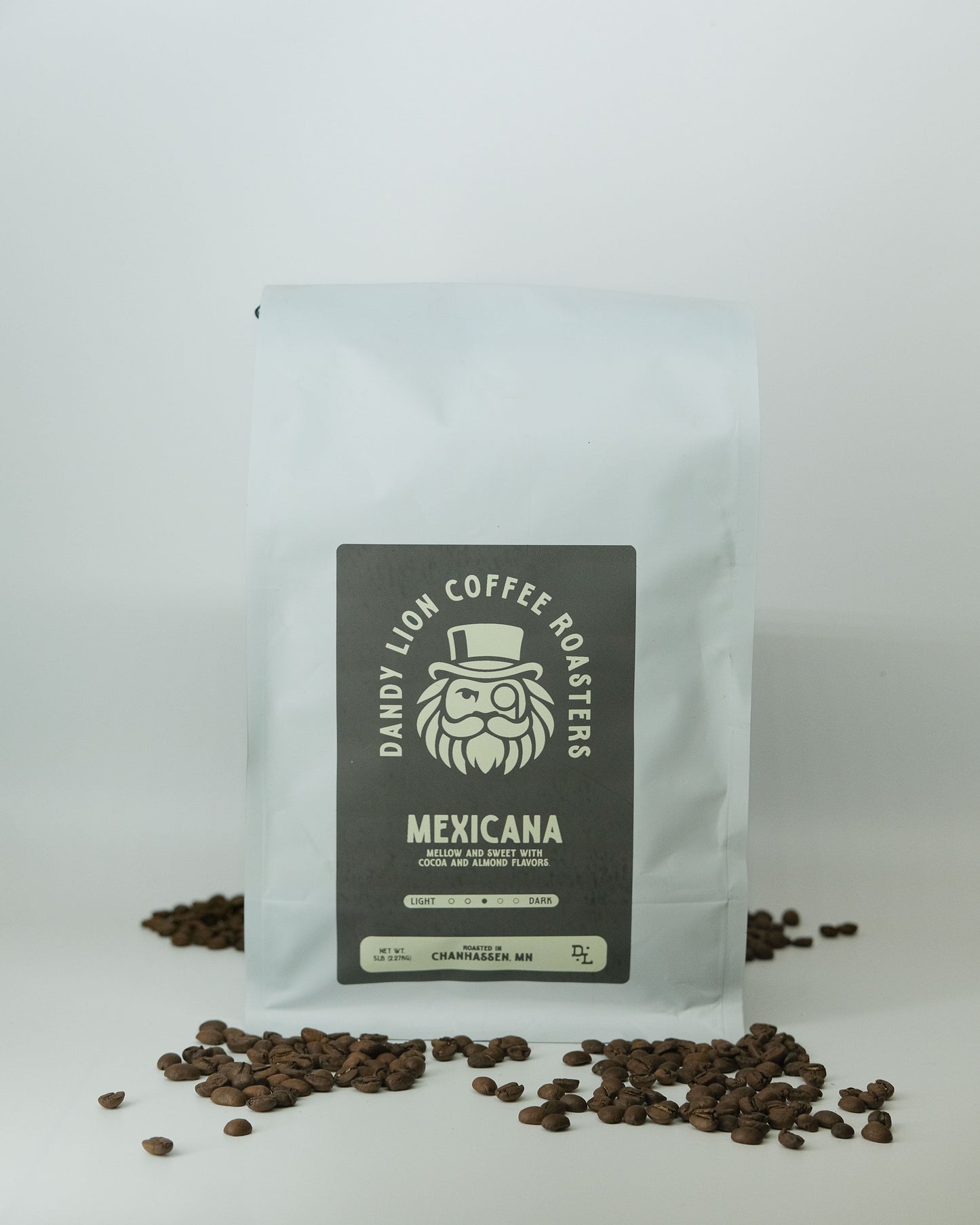 Dandy Lion Coffee Mexicana 5lb bag featuring vibrant Mexican-inspired design and branding on the packaging.