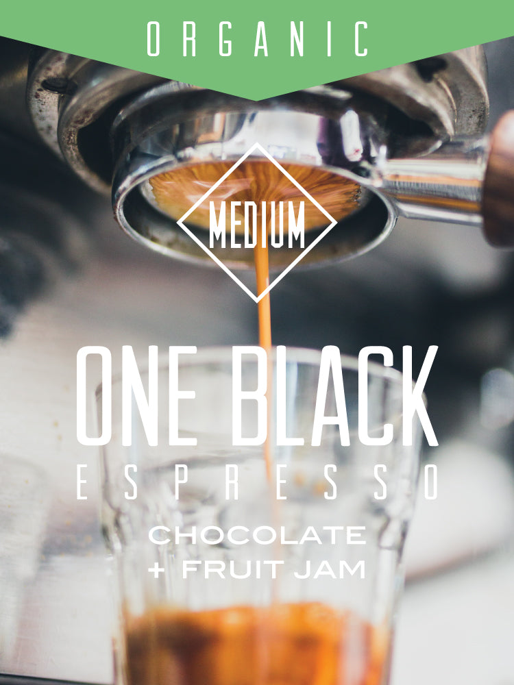 Organic One Black espresso coffee by Centri Coffee, showing a dark roasted coffee bag with branding and product label.