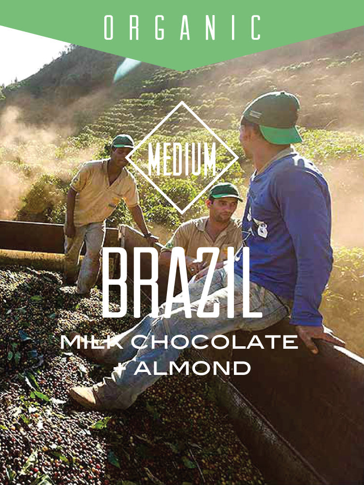 Organic Brazil Fazenda Dutra coffee beans from Centri Coffee, showcasing fresh, rich brown roasted coffee with a smooth finish.