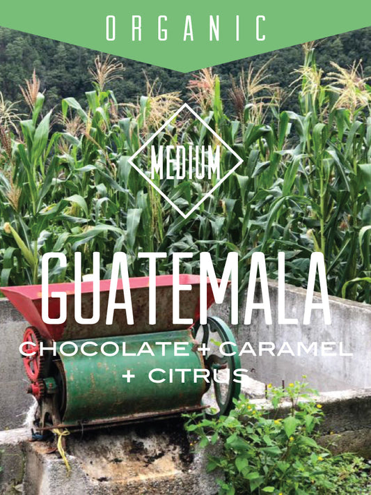 Organic Guatemala Huehuetenango coffee from Centri Coffee, showing fresh roasted beans in a natural setting.