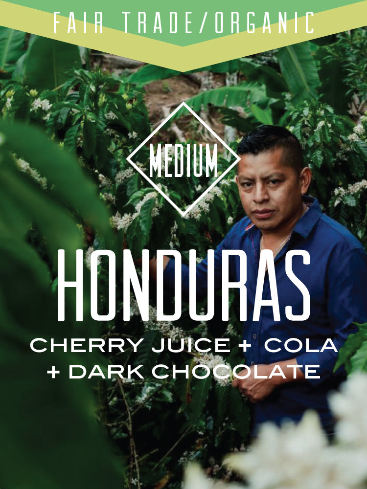 Organic Honduras Liquidambar yellow honey coffee from Centri Coffee, showing fresh coffee beans with a golden hue.