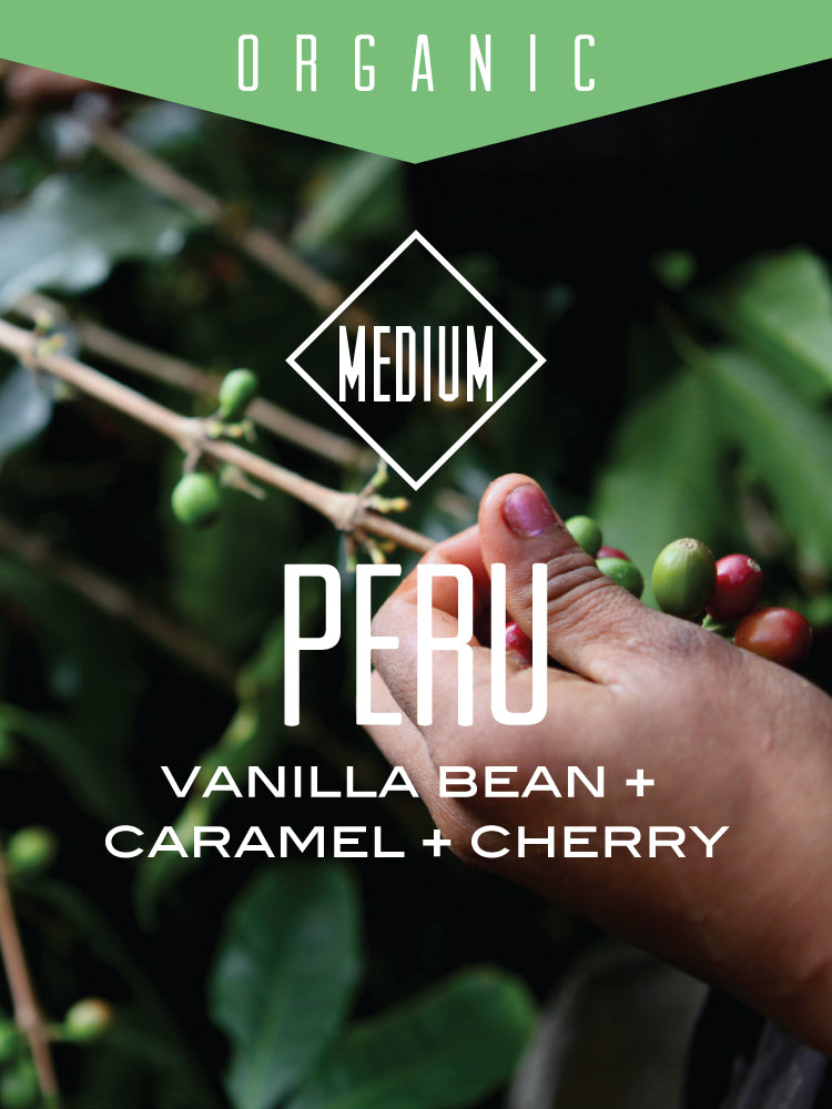 Organic Peru Cajamarca coffee beans from Centri Coffee, showcasing the rich, whole beans of this premium coffee variety.