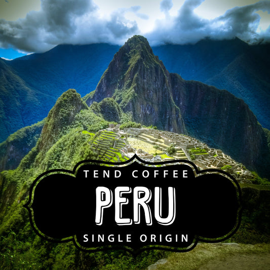 Freshly roasted 1lb bag of Tend Coffee Peru coffee beans with a rich, aromatic appearance.