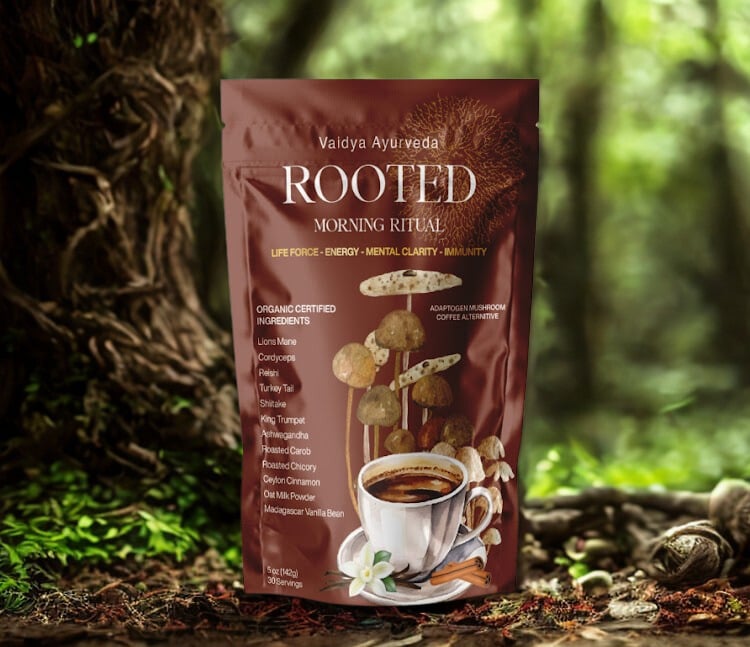Rooted Morning Ritual adaptogen mushroom beverage bottle from Vaidya Ayurveda, showing the colorful label and product packaging