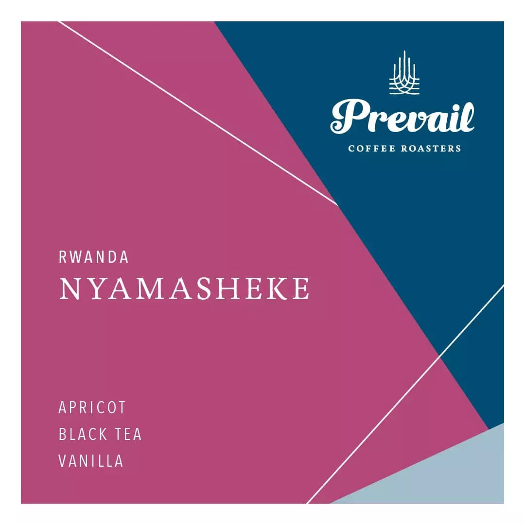 Prevail Coffee Rwanda Nyamasheke coffee bag with label, showcasing the product's packaging and branding.