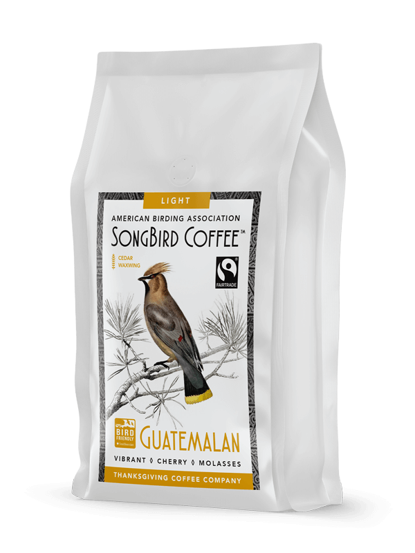 Light roast SongBird Guatemalan FTO coffee beans by Thanksgiving Coffee Company in a natural, fresh appearance.
