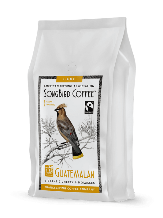 Light roast SongBird Guatemalan FTO coffee beans by Thanksgiving Coffee Company in a natural, fresh appearance.