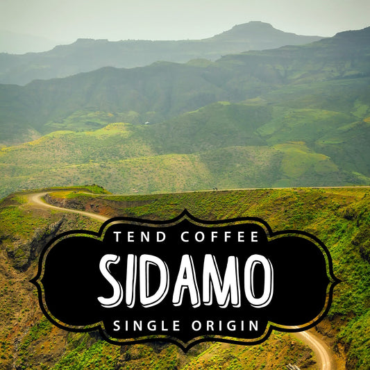 Brewed Tend Coffee Sidamo single-origin coffee in a 1lb bag, featuring rich Ethiopian coffee beans with a vibrant, aromatic appearance.