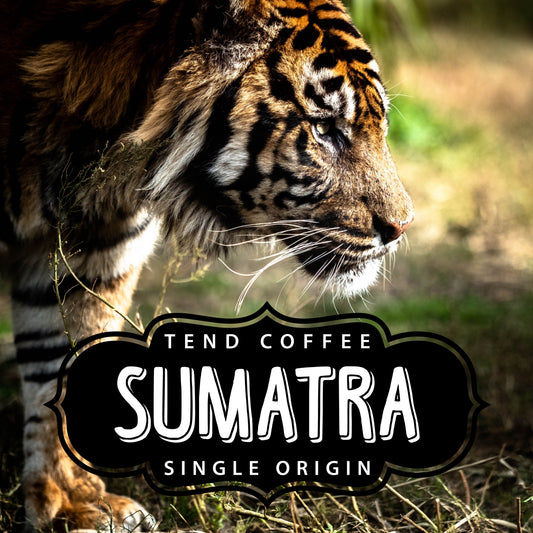 Coffee bag labeled Sumatra 1lb from Tend Coffee, showcasing dark roasted Sumatran coffee beans on the packaging.