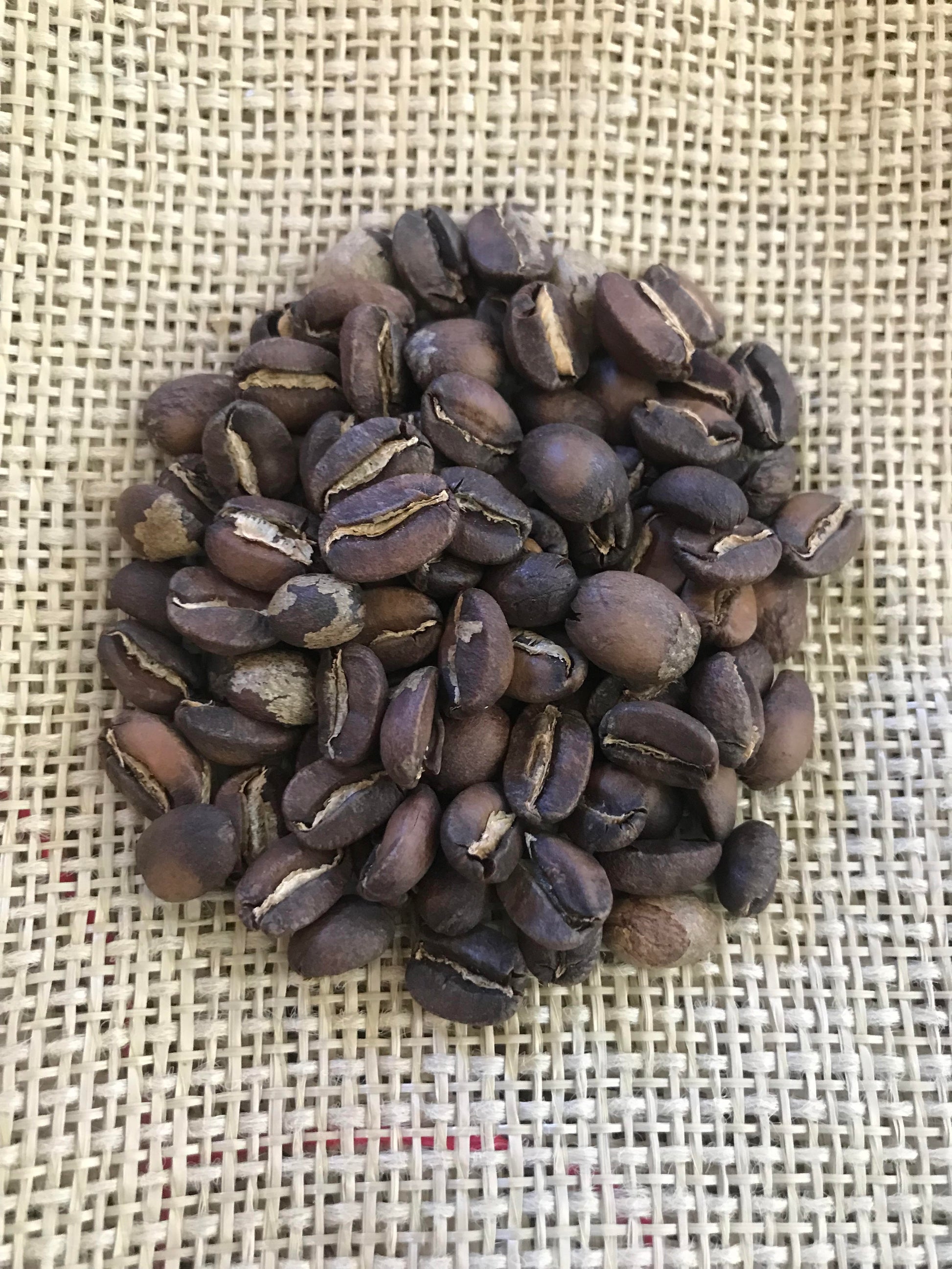 Benevolent Bean DLAC Endeavor to Dream 12oz organic Ethiopian washed coffee beans, showcasing the washed Cati variety.