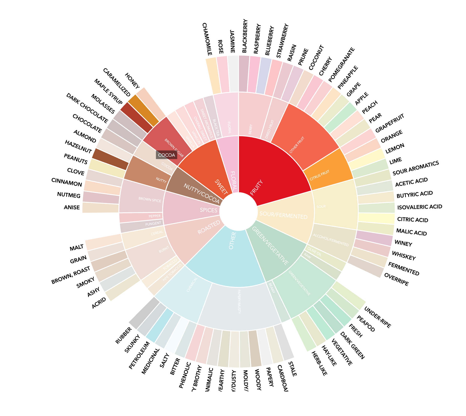 Medium roast Brainstorm coffee beans from Function Coffee Co, shown on flavor wheel with aroma and tasting notes.