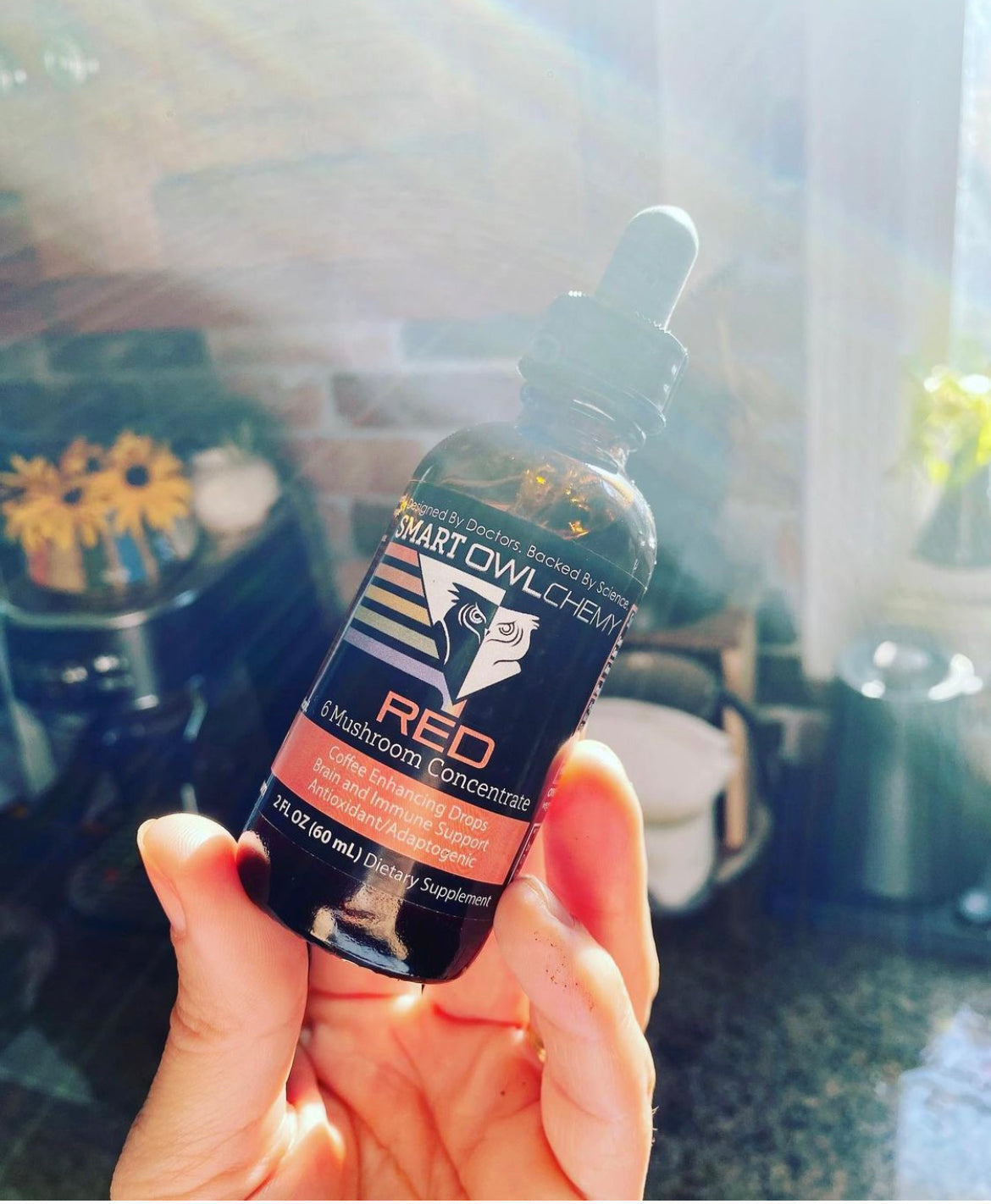Smart Owl Coffee RED DROPS Smart OWLchemy mushroom extract supplement drop in a small glass dropper bottle with a dropper cap.