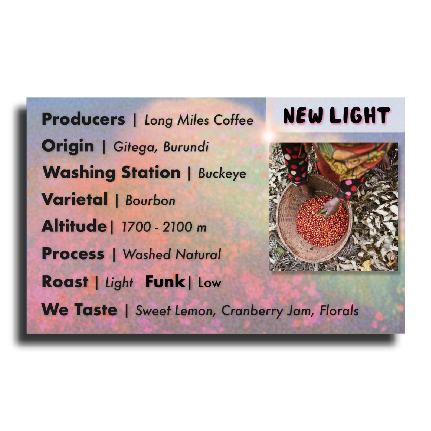 A cup of brewed Superlost Coffee New Light Long Miles Coffee with a steaming hot coffee beverage in a white mug.