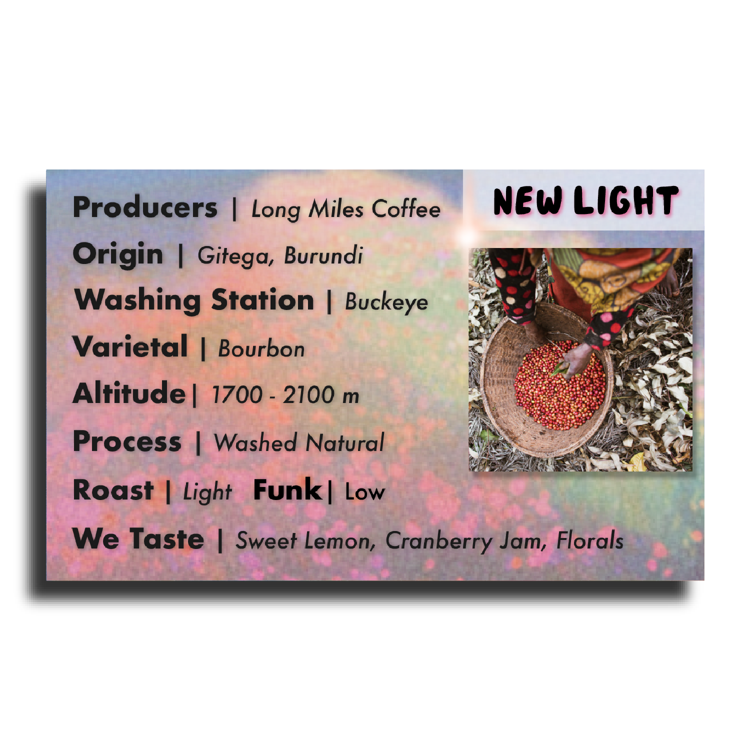 A cup of brewed Superlost Coffee New Light Long Miles Coffee with a steaming hot coffee beverage in a white mug.